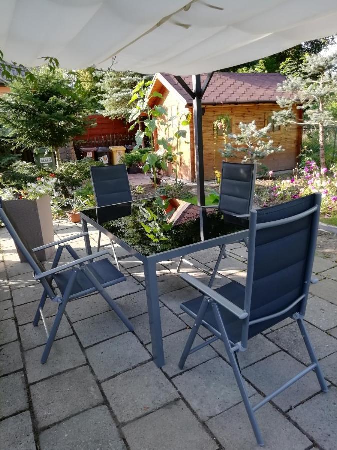Apartment Wlodek