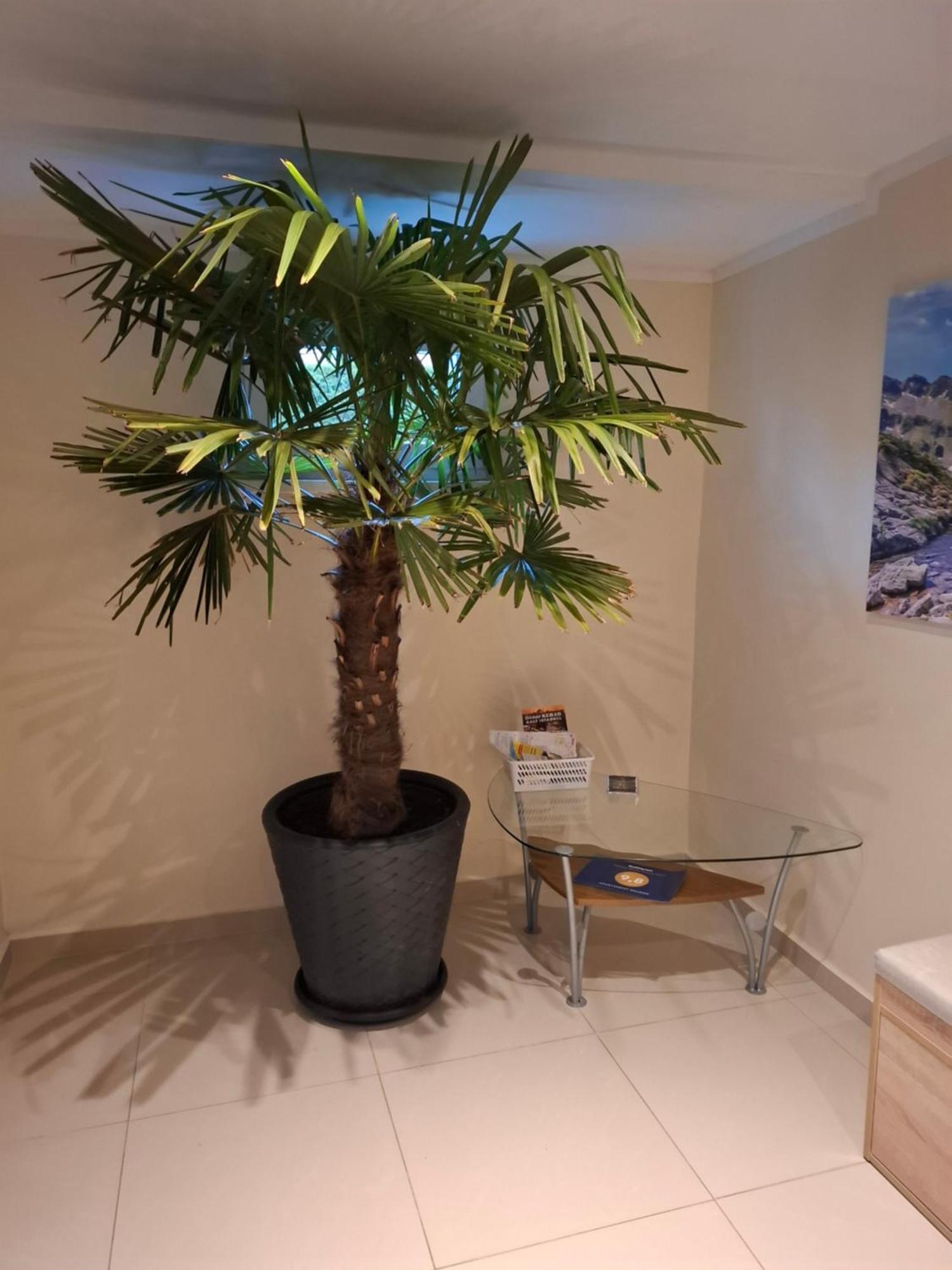 Apartment Wlodek Jelenia Góra